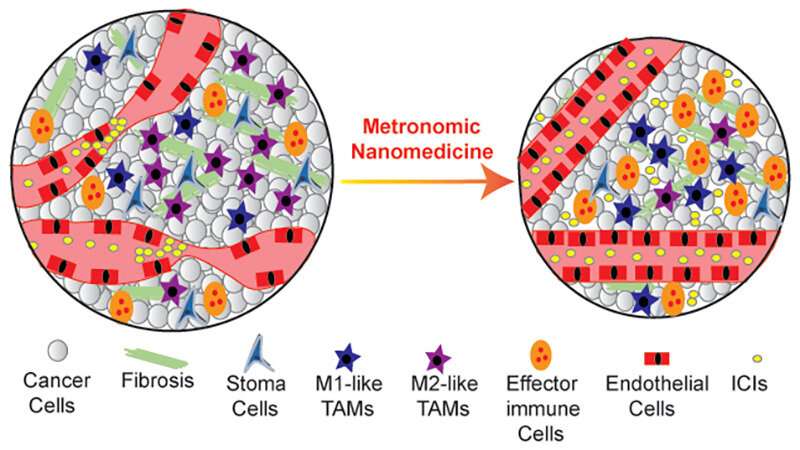 Lower, more frequent doses of nanomedicines may enhance cancer treatment