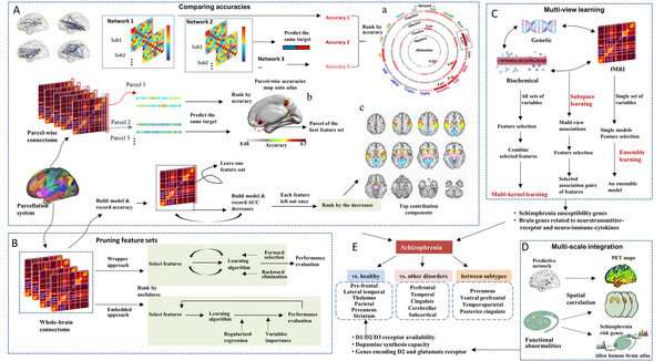 Machine learning helps to understand neurobiological and nosological bases of mental illness