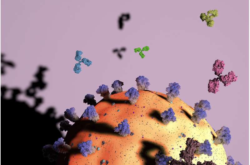 Machine-learning model can distinguish antibody targets