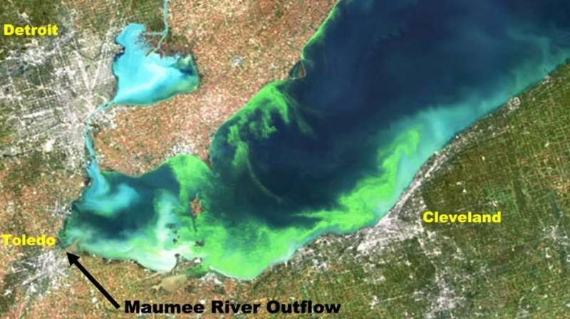 Machine learning using climate pattern data may help predict early harmful algal blooms