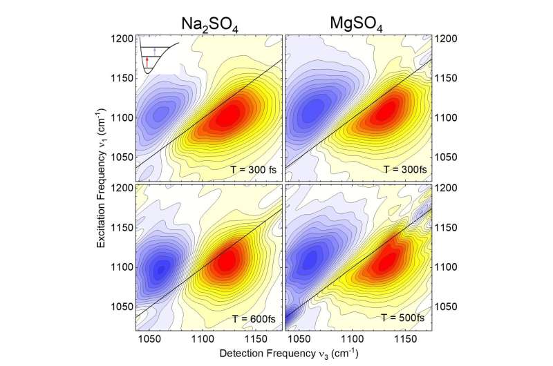 Magnesium ions slow down water dynamics on short length scales