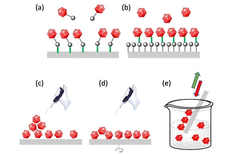 Magnetic molecules on surfaces: Advances and challenges in molecular nanoscience