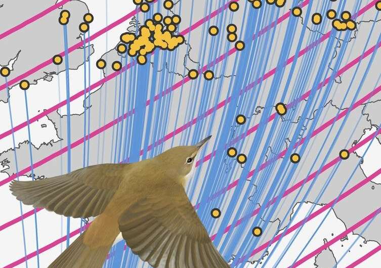 Magnetic navigation: songbirds use the Earth’s magnetic field as a stop sign during migration
