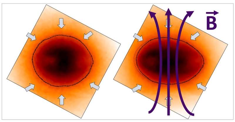 Magnetizing Laser Driven Inertial Fusion Implosions