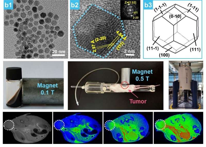 Magnetosome-like structure with high tumor tissue penetration efficiency