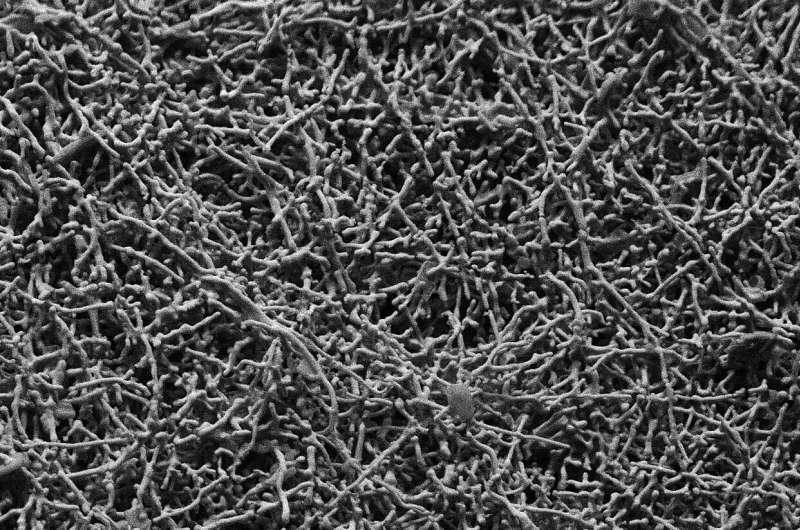 Making materials for the next generation of electric car batteries