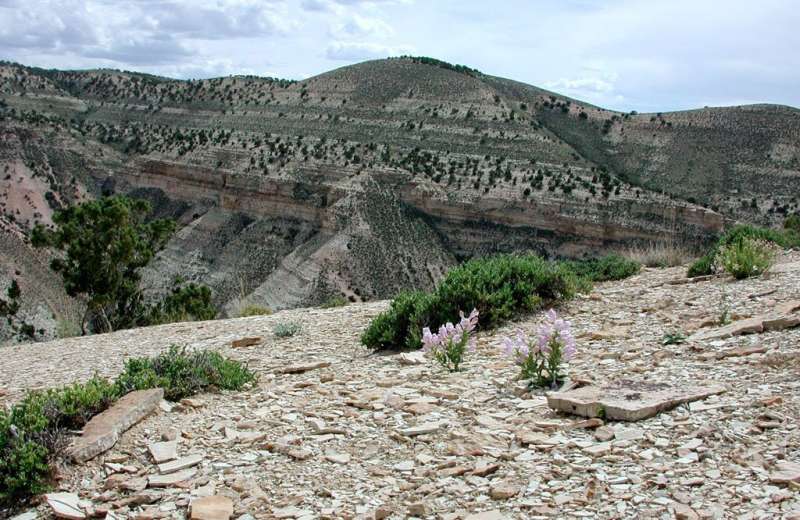 Mapping the middle ground: Balancing mining activities with survival of Utah's rare plants