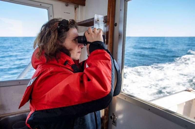 Marine biologist Christy Hudak, 46, uses binoculars to look for whales on the expedition with the Center for Coastal Studies (NO