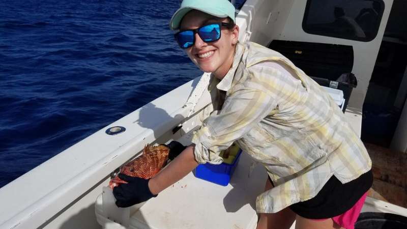 Marine conservation effort in U.S. Virgin Islands aids key fish species, Oregon State research finds