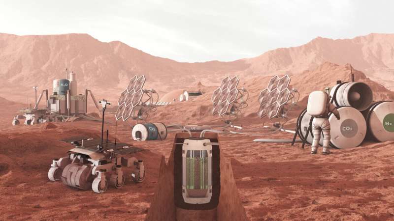 Mars dust as a basis for life? No problem for certain bacteria