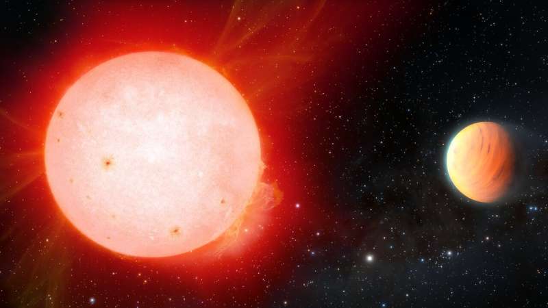 'Marshmallow' world orbiting a cool red dwarf star