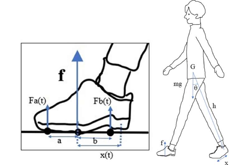 Martial arts inspire new method for modeling assistance for ankles and knees