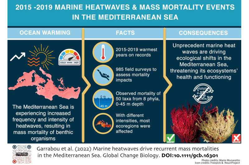 Mass mortality events linked to marine heatwaves could become the new norm in the Mediterranean Sea