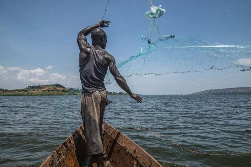Meagre catch: fisherman Jowali Kitagenda, 40, casts his net on the Nile in Jinja, Uganda