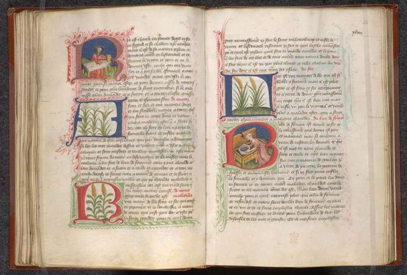 Medieval illustrated manuscripts reveal how upper-class women managed healthy households