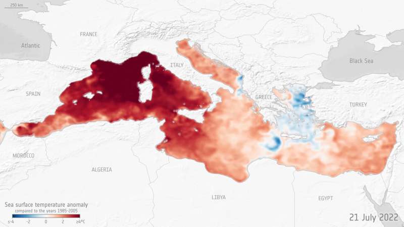 Mediterranean Sea hit by marine heatwave