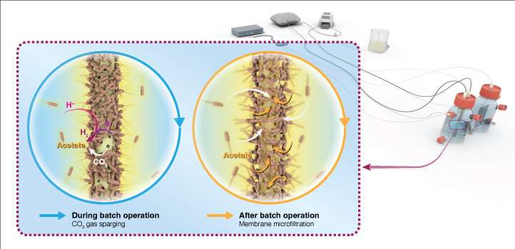Membranes help multiply microbial CO2 munching
