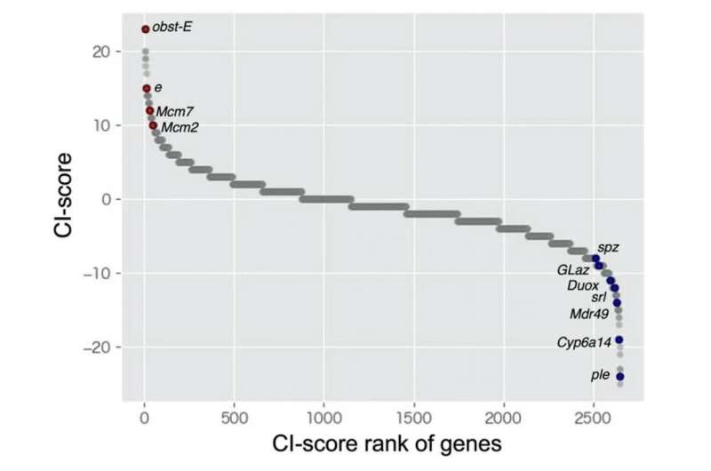 Meta-analysis reveals how crowds may change gene expression in some insects