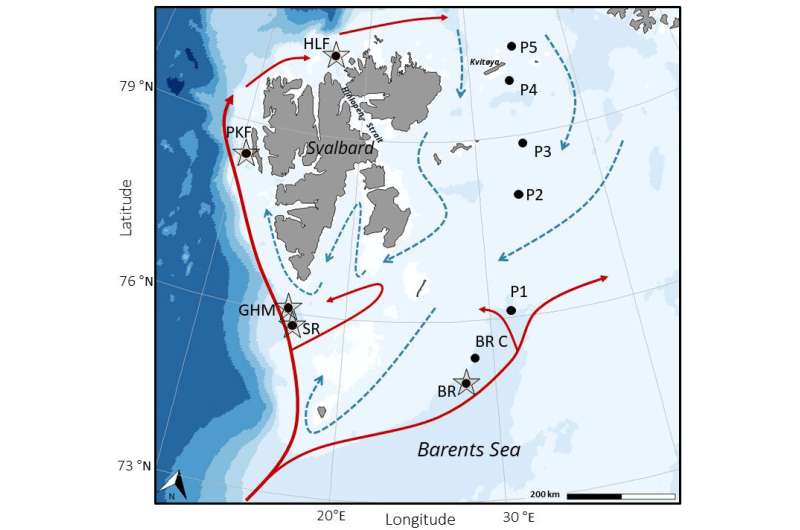 Methane emissions in the Arctic diversify the diets of marine ecosystems living in productive shallow-marine areas