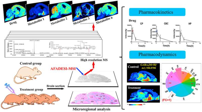 Method to characterize pharmacokinetics and pharmacodynamics in the brain microregions