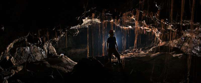Microbial ´dark matter´: Centuries-old lava caves of Hawaiʻi Island contain thousands of unknown bacterial species