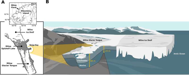 Ahli mikrobiologi mempelajari virus raksasa di Danau Epishelf Arktik yang terancam iklim