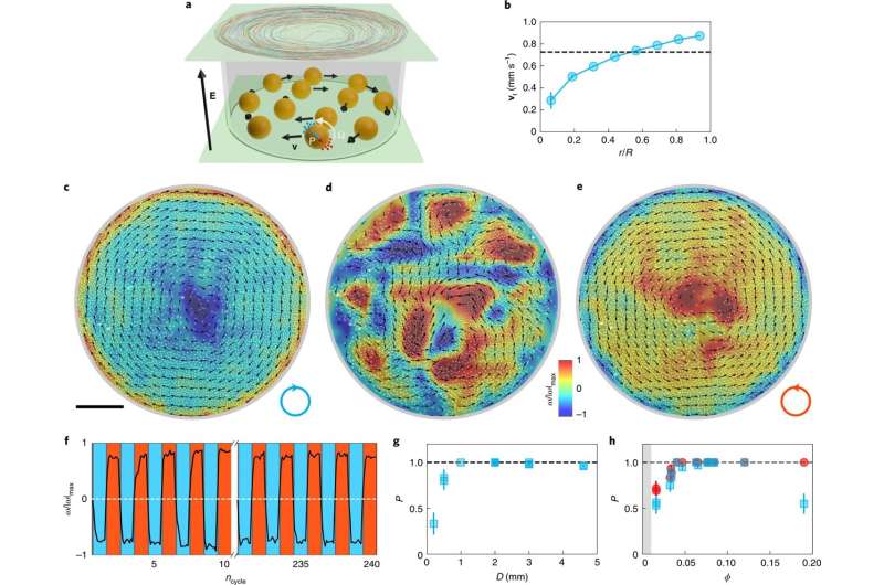Microparticles show ability to turn in reverse, paving the way for microfluidic devices