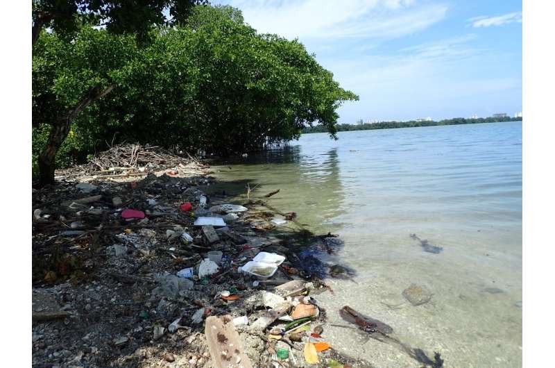 Microplastic pollution threats world's coastal lagoons