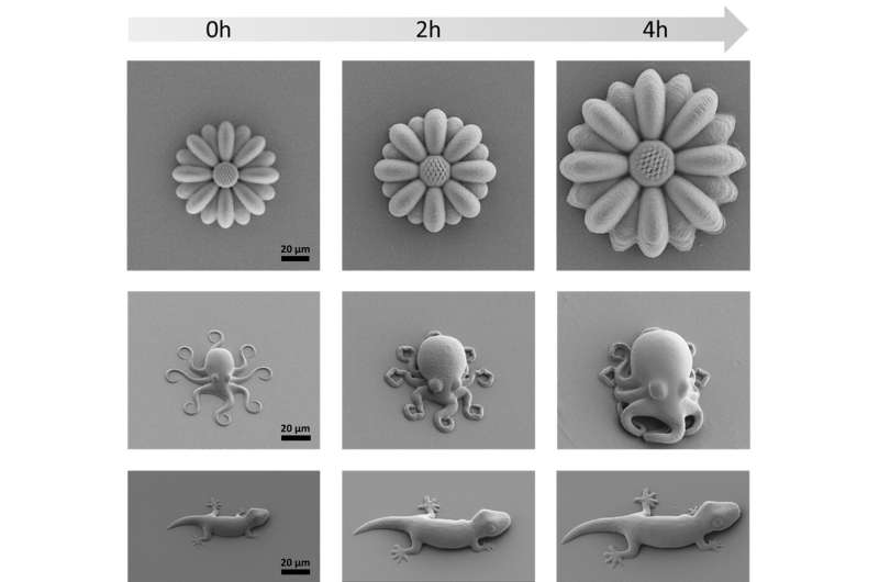 Microscopic octopuses from a 3D printer