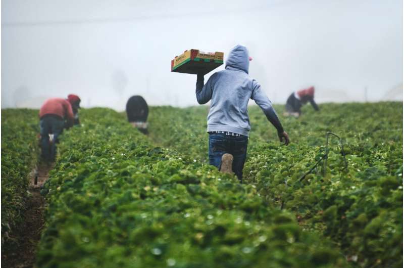 migrant farming