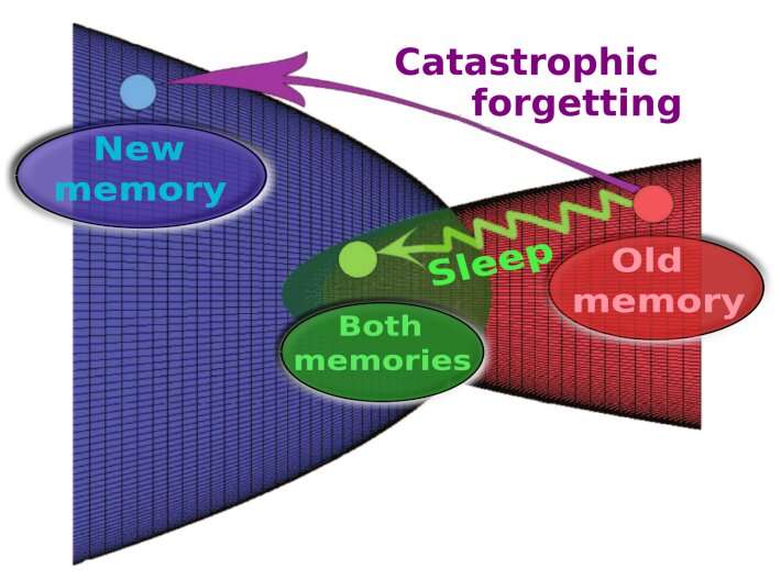 Mimicking human sleep as a way to prevent catastrophic forgetting in AI systems