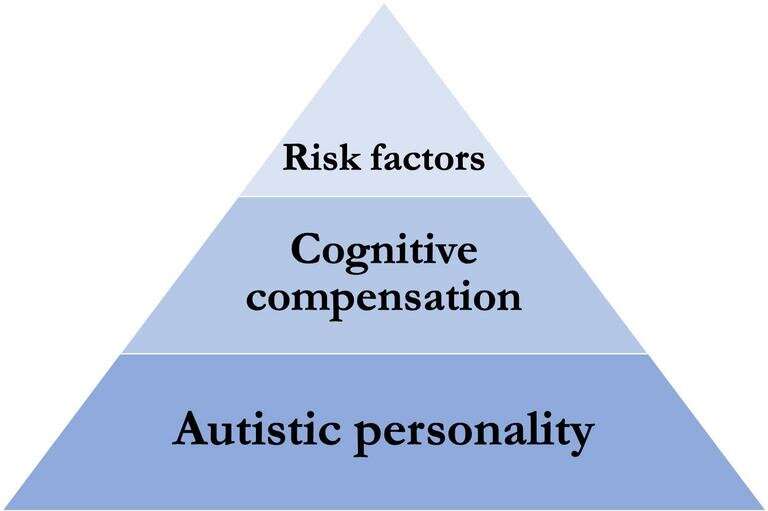 Model explains how autism arises