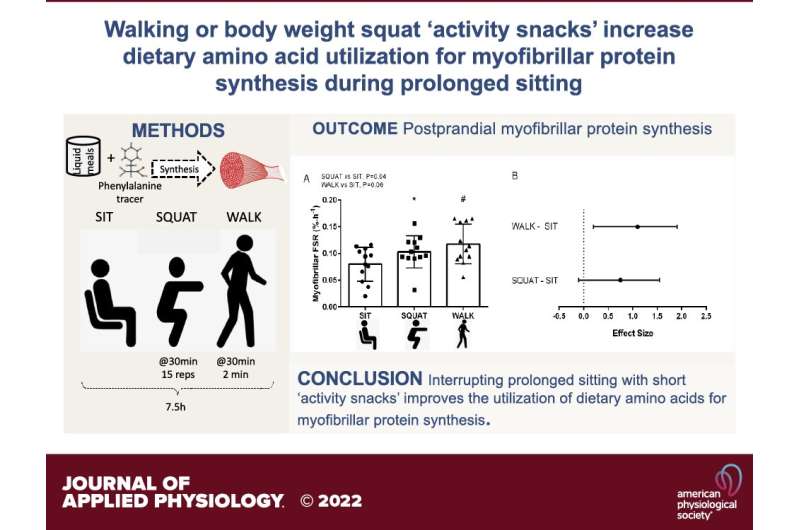 Moderate exercise or 'activity snacks' help maintain muscle mass