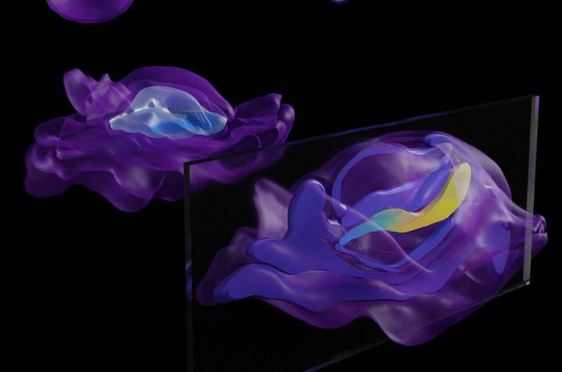 Molecular 3D-maps unlock new ways of studying human reproduction