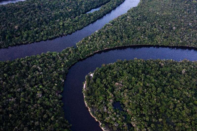 O dinheiro para a pesquisa na Amazônia está diminuindo