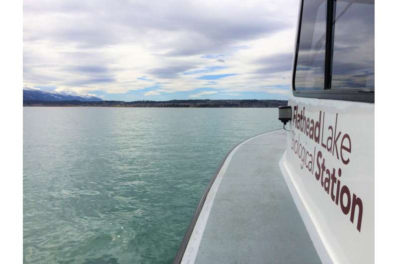 Montana Bio Station researchers find nutrient imbalance in flathead lake