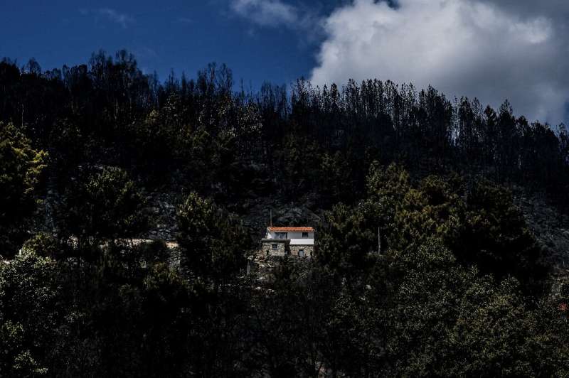 More than 25,000 hectares (nearly 61,800 acres) of land is estimated to have been scorched by the fire in Portugal