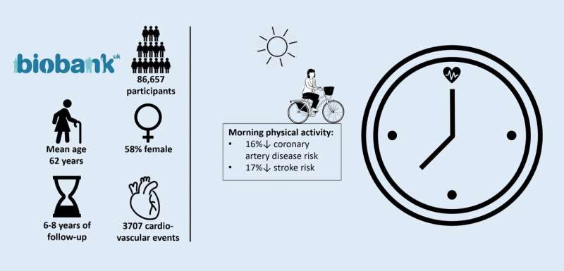 Morning physical activity is associated with the lowest risk of heart disease and stroke