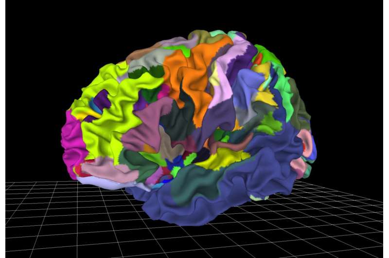 Multilevel brain atlases provide tools for better diagnosis