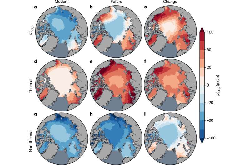 Multiple Earth simulations show ocean acidification peak in Arctic Ocean may shift from winter to summer