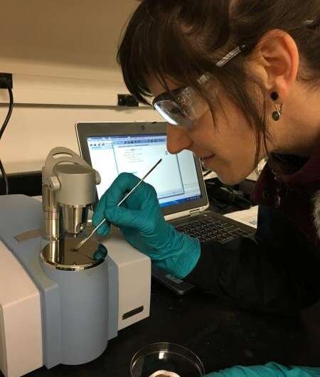 Multiple lab analyzes of Antarctic minerals provide a better understanding of Mars
