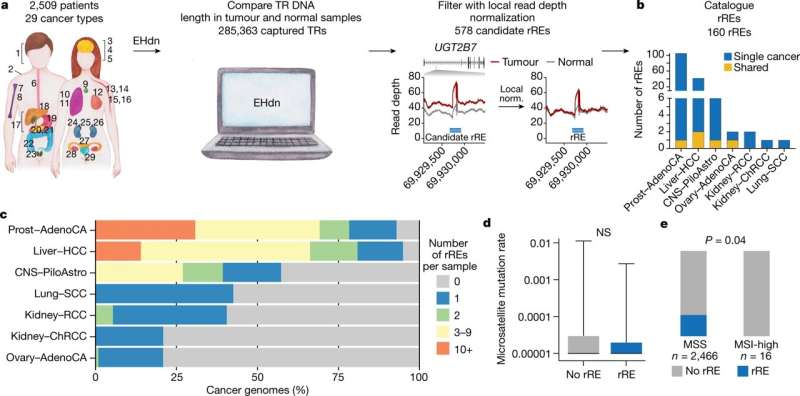 Multiple recurrent, repeat expansions found in human cancer genomes