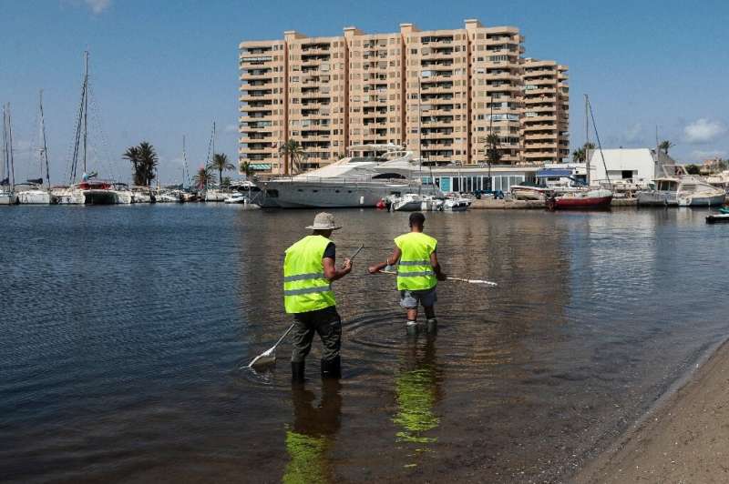 Municipal workers clean the shores of the Mar Menor lagoon in Spain, which was granted personhood status to give its threatened 