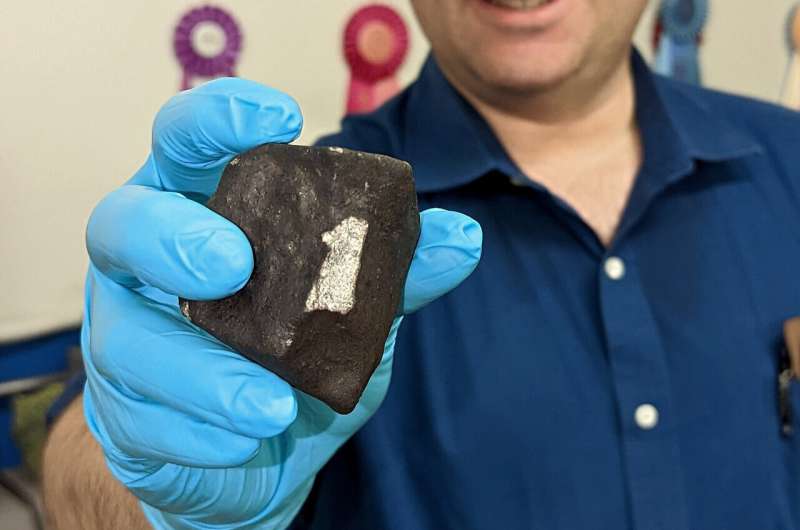 Museum acquires recently fallen meteorite from Junction City, Georgia