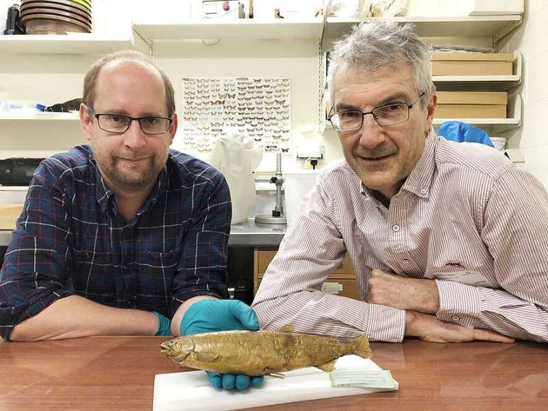Mystery of extinct fish unravelled
