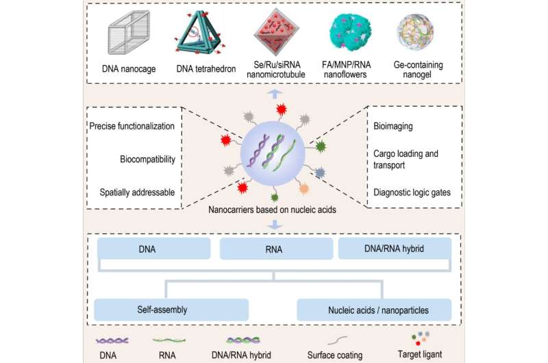 Nanocarriers based on nucleic acids--- an important player in the future field of nanomedicine