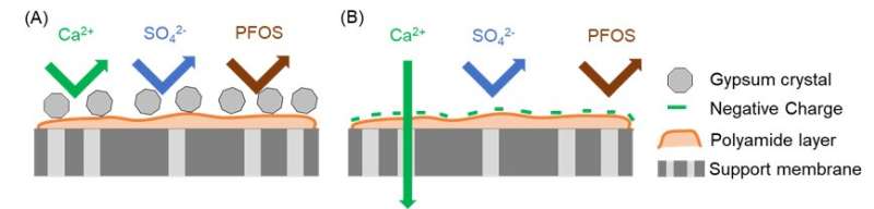 Nanofiltration membrane with asymmetric selectivity toward enhanced water recovery for ground.