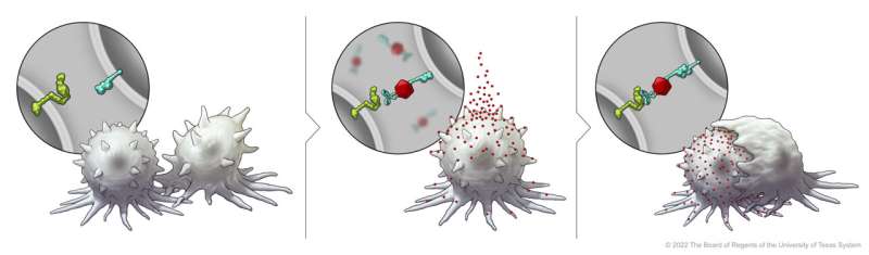 Nanotechnology platform enables immune conversion of cancer cells, sensitizing them to immunotherapy