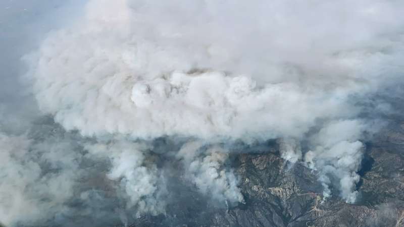 Nasa data on plant ‘sweating’ could help predict wildfire severity