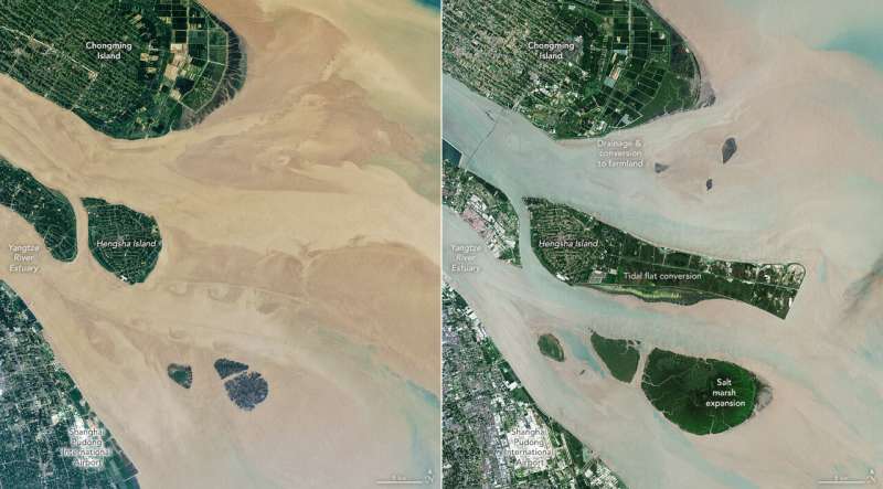 NASA scientists map global salt marsh losses and their carbon impact